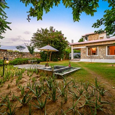 A Dog'S Story, Jaipur Bed and Breakfast Exteriör bild