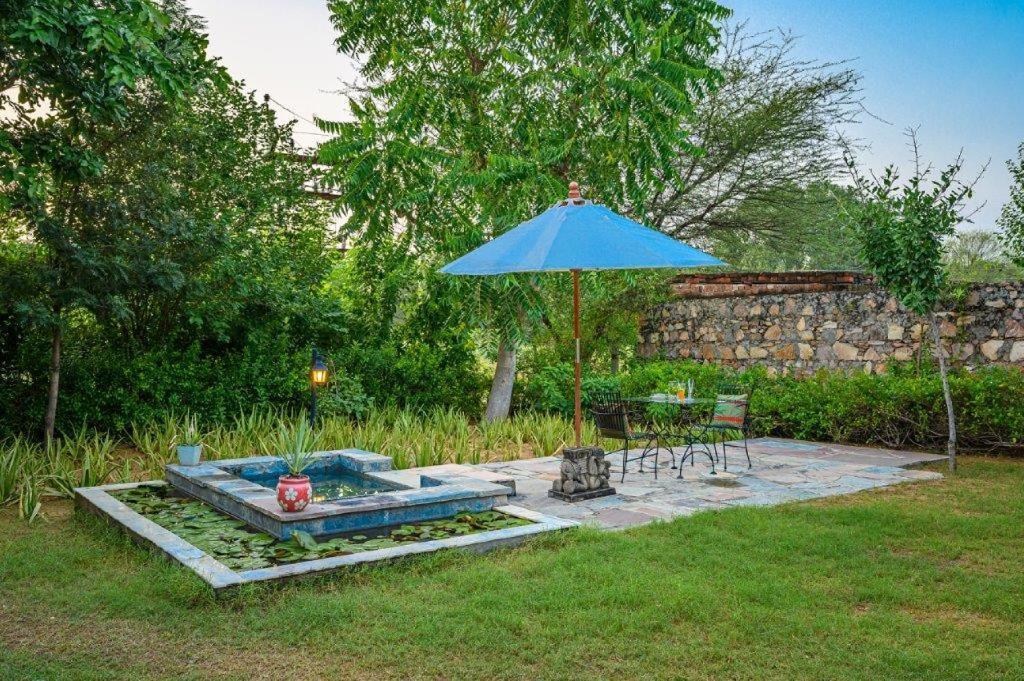 A Dog'S Story, Jaipur Bed and Breakfast Exteriör bild